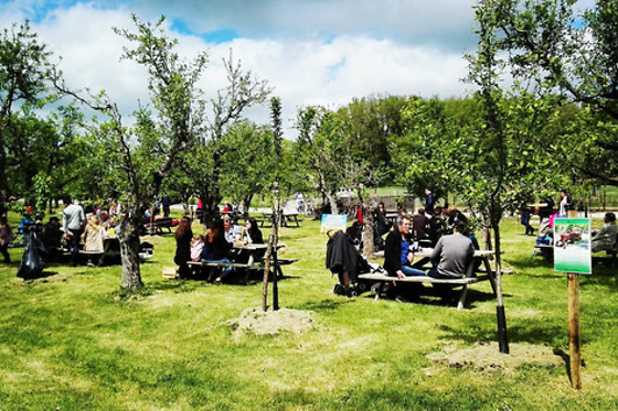Ferme de Souleilles - photo 1