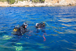 Aqua Evasion