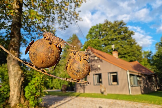 Domaine de Wail - photo 28