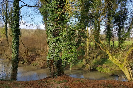 Domaine de Wail - photo 17