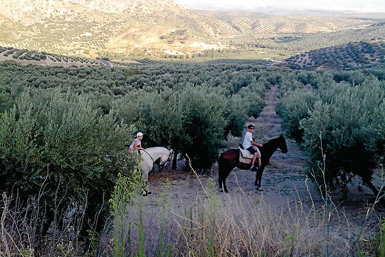 LA POSADA DE COLOMERA - photo 10
