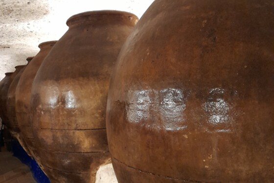 BODEGA 11 ANFORAS - photo 6