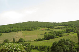 Le relais du colombier