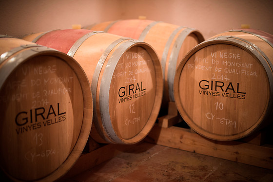 CELLER RONADELLES - photo 4