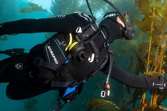 FREEANDIVERS - photo 1