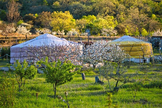 EL JARDÍN DE LAS DELIZIAS - photo 0