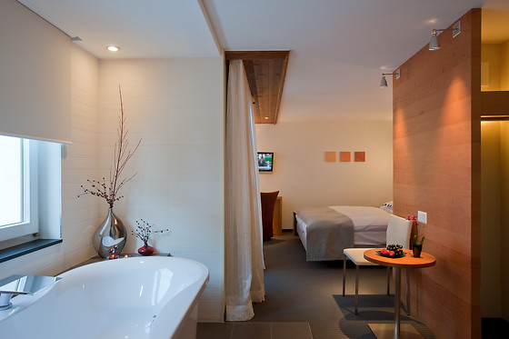 Hotel Allalin Saas-Fee**** - photo 9