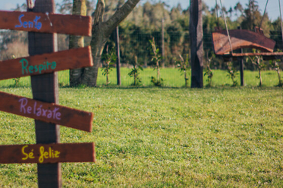 NATURMAZ - photo 5