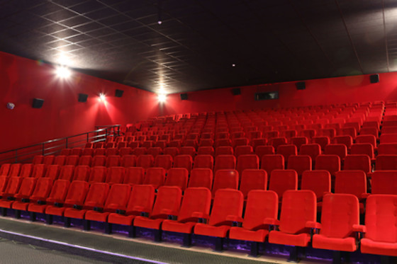 Cinéma Wellington - photo 3