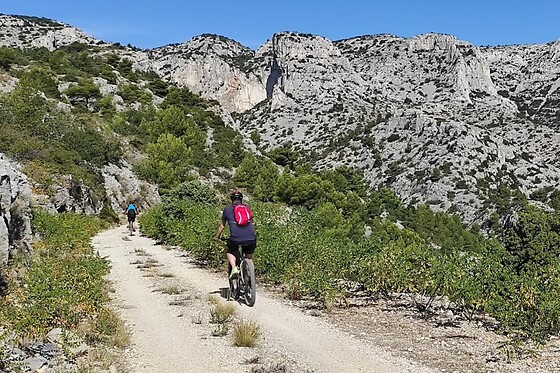 Trolib Cassis - photo 3