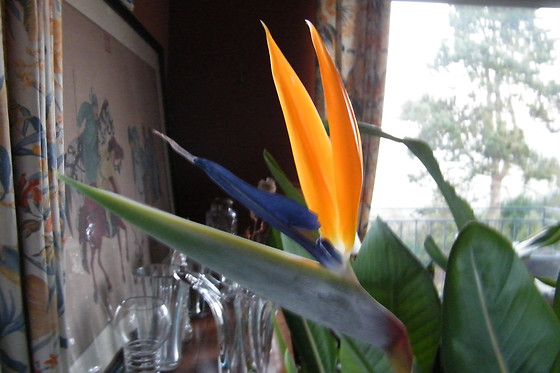 Hôtel de Tessé - photo 9