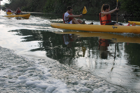 RIU A L'EBRE - photo 6