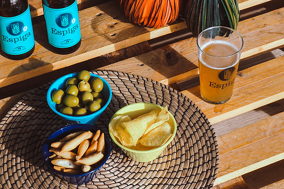 MICROCERVECERÍA ESPIGA - photo 6