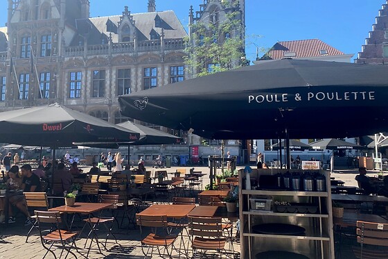Poule & Poulette Gent (KM11) - photo 16