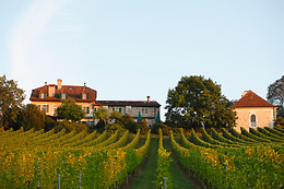 Domaine de Châteauvieux****