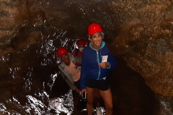 Azores Nature Tours - photo 9