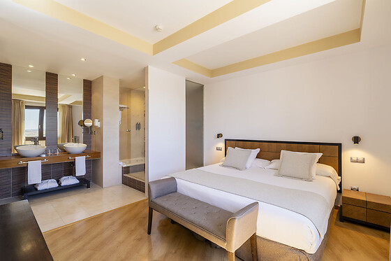 HOTEL SPA VILLA NAZULES - photo 16