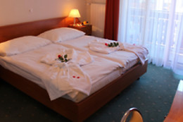 Hotel Elite Zermatt***