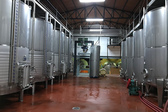 BODEGAS Y VIÑEDOS PEDRO GARCIA - photo 5