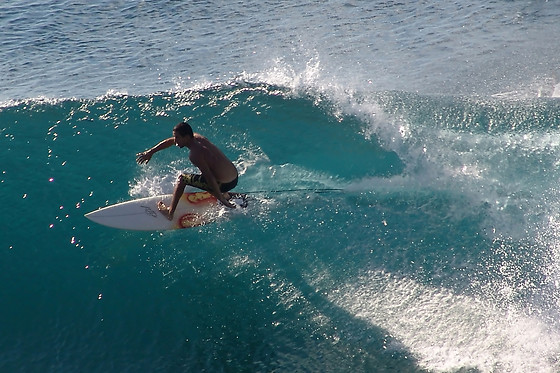 ORANGE SURFSCHOOL - photo 9