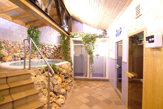 HOTEL PALACIO DE OÑATE SPA - photo 12