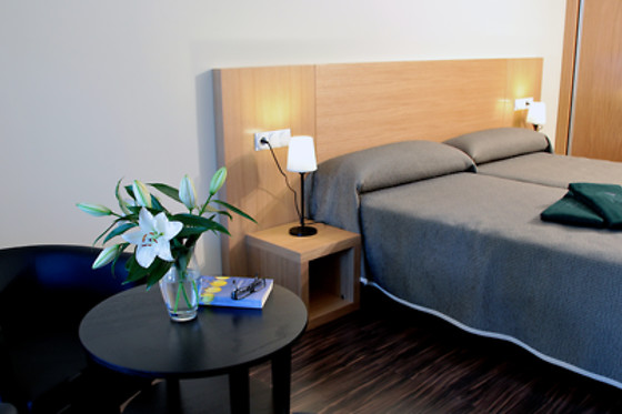 HOTEL BALNEARIO DE LANJARON - photo 8