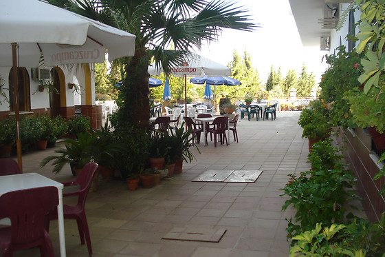 HOTEL MESON FUENTE EL PINO - photo 2