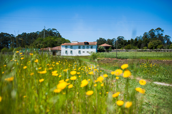 CASA MINDELA - photo 13