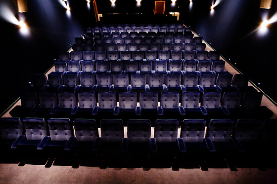 Cinema Albert - photo 5