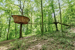 L'Arbre à Cabane