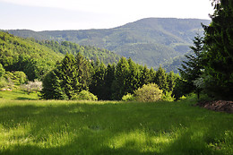 Ferme SAXERMATT