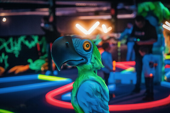 MI12 Fun Center Gembloux - photo 4