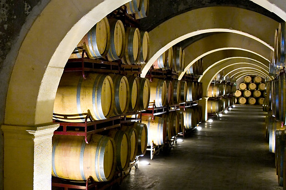 BODEGAS LUZON - photo 5