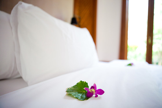 HOTEL  DELPHOS - photo 11