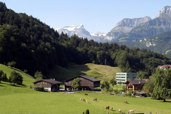 Schlaf im Stroh Familie Bucheli - photo 0