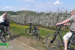 Wow-Routes.com