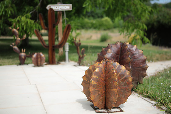 Dejeunez Sous L'arbre - photo 19
