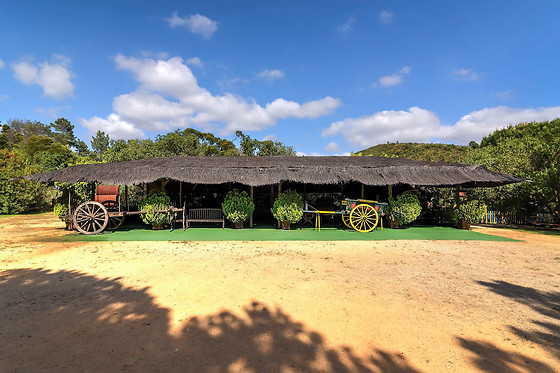 PARQUE DA MINA - photo 1