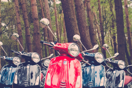Vespa Waasland - photo 2