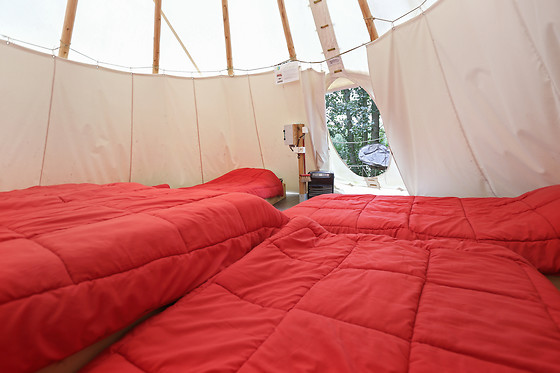 Camping les Rives de Grand Lieu - photo 2