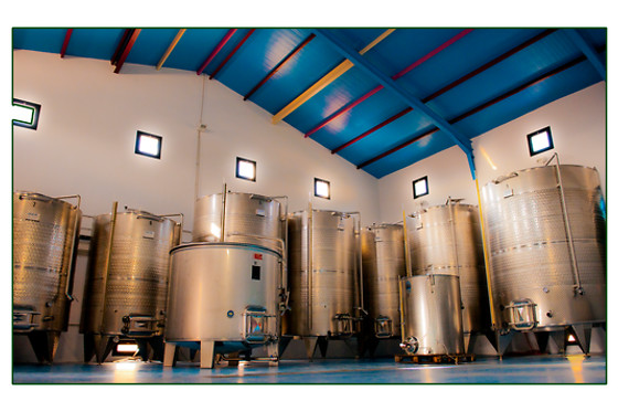 BODEGAS MOROSANTO - photo 3