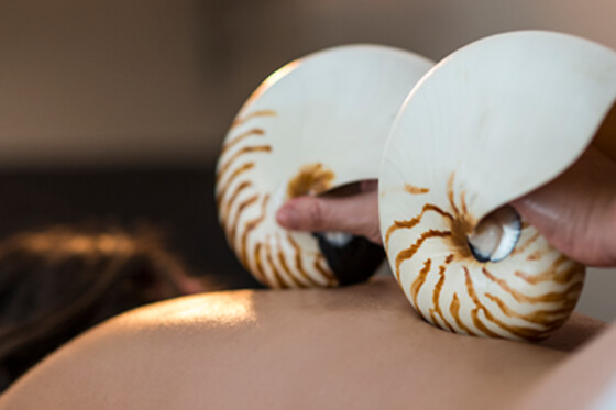 ESTETICA NATURAL RAQUEL TORRES - photo 14