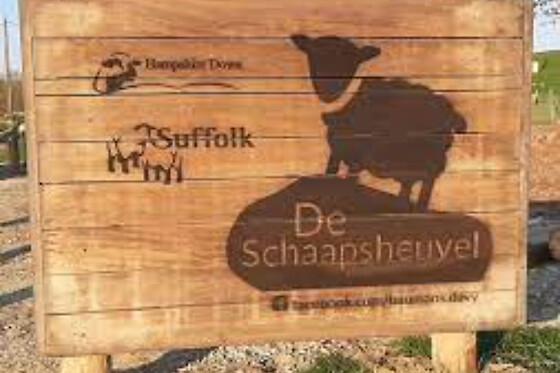 De Schaapsheuvel - photo 3