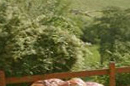 Le relais du colombier