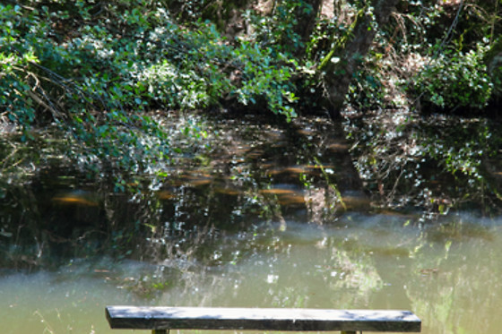 Camping Cœur d' Ardèche - photo 8