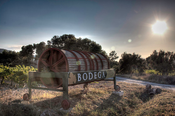 BODEGAS LOS PINOS - photo 2