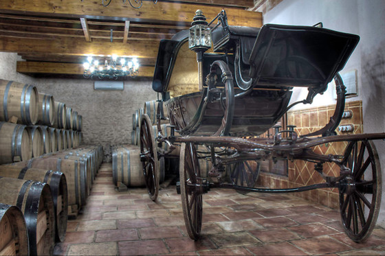 BODEGAS LOS PINOS - photo 5