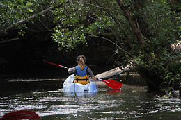 Canoe Land
