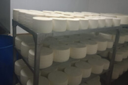 QUESERIA DE CASTILLA