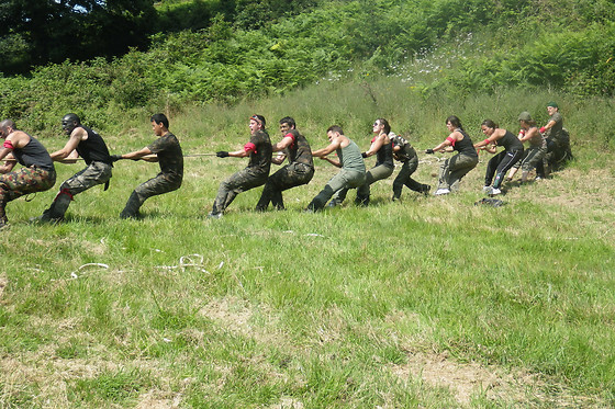 Komandgo - photo 4